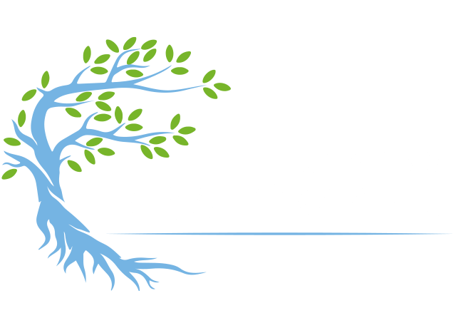 Logo Lebenskraftwerk